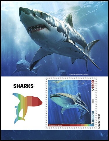 Rhincodon typus