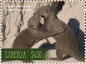 Stamp, Slender Mongoose (Galerella sanguinea), Liberia,  , Animals (Fauna), Mammals