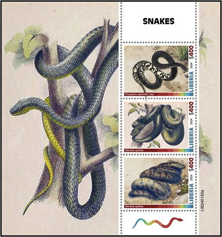 Snake