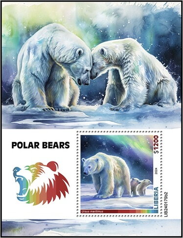 Ursus maritimus