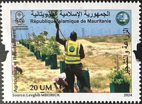 Reforestation and Agriculture