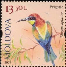Stamp, European Bee-Eater (Merops apiaster), Moldova,  , Animals (Fauna), Birds