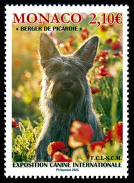 2025 International Dog Exposition
