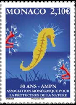 Seahorse and Coral