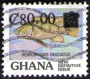 Banded Jewelfish (Hemichromis fasciatus) - surcharged