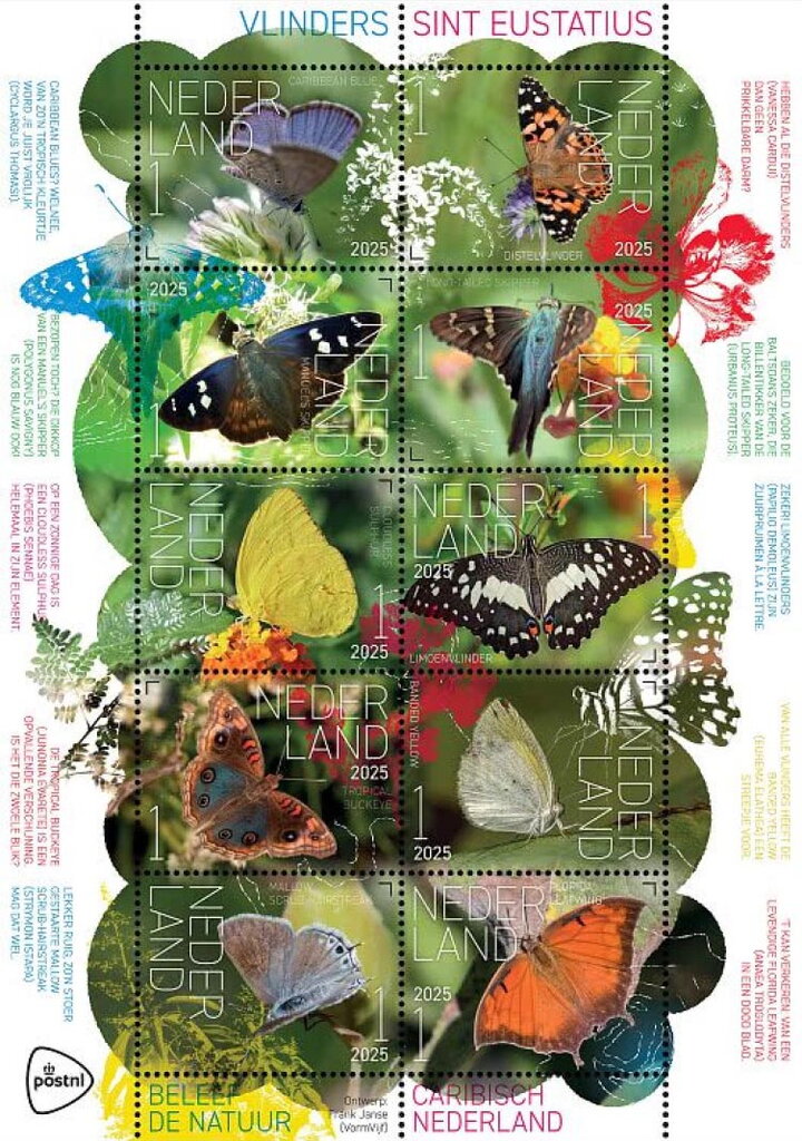 Butterflies of Sint Eustatius