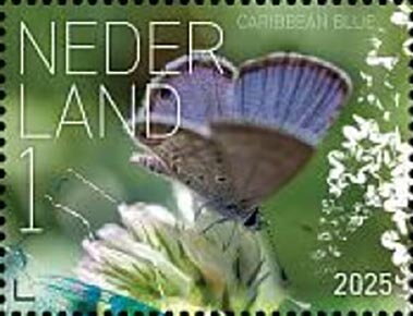 Butterflies of Sint Eustatius