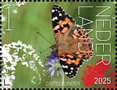 Butterflies of Sint Eustatius
