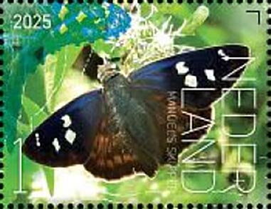 Butterflies of Sint Eustatius
