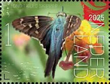 Butterflies of Sint Eustatius