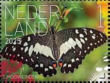 Butterflies of Sint Eustatius