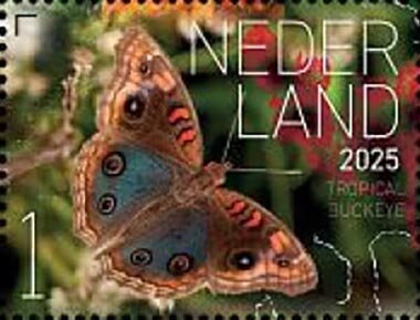 Butterflies of Sint Eustatius