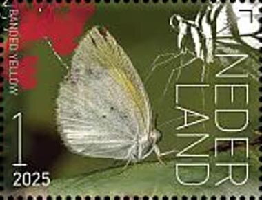 Butterflies of Sint Eustatius