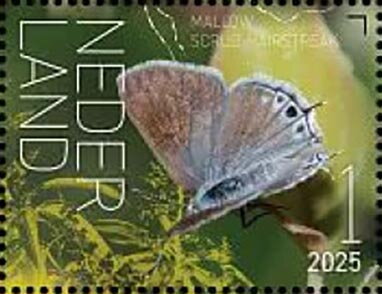Butterflies of Sint Eustatius