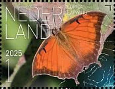 Butterflies of Sint Eustatius