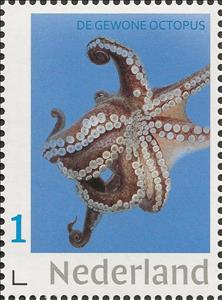 Stamp, Common Octopus, Netherlands,  , Animals (Fauna), Molluscs, Octopuses, Sea Life