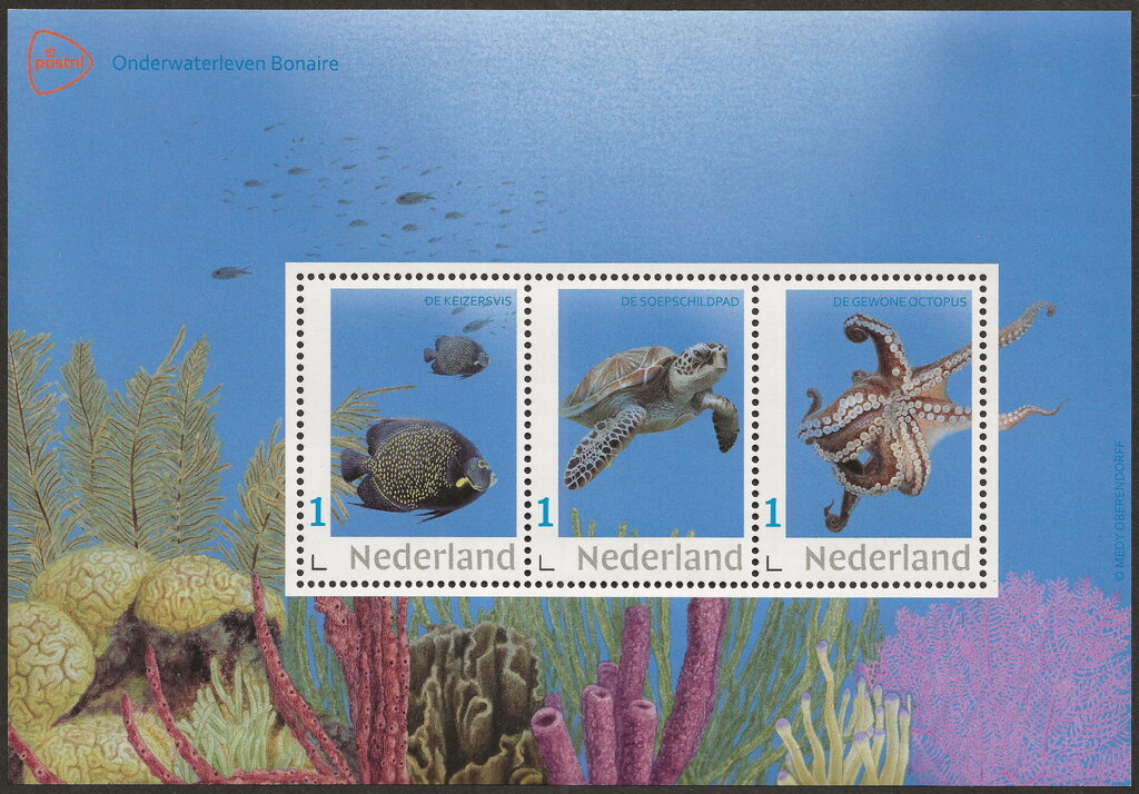 Underwater Life Bonaire