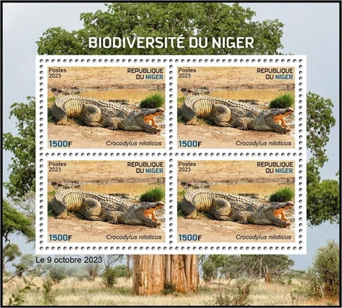 Crocodylus niloticus
