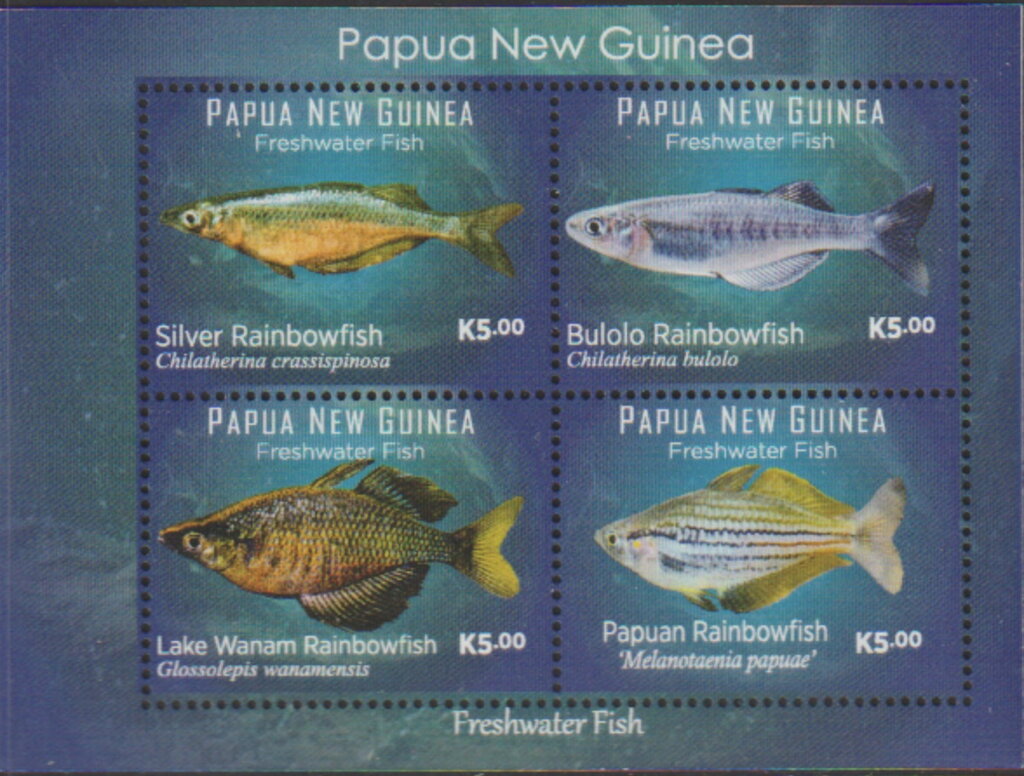 Rainbowfish