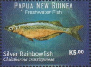 Stamp, Silver Rainbowfish (Chilatherina crassispinosa), Papua New Guinea,  , Fishes