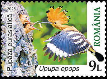 Stamp, Eurasian Hoopoe (Upupa epops), Romania,  , Animals (Fauna), Birds