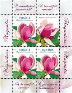 Mini Sheet, Magnolia × soulangeana, Romania,  , Flowers, Plants (Flora)