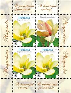 Mini Sheet, Magnolia acuminata, Romania,  , Flowers, Plants (Flora)