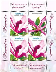 Mini Sheet, Magnolia liliiflora, Romania,  , Flowers, Plants (Flora)