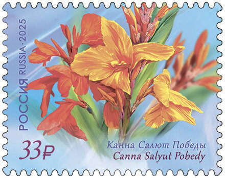 Canna Salut Pobedy