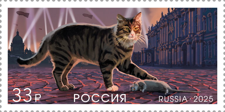 Cat (Felis catus)