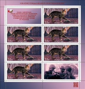 Full Pane, Cat (Felis catus), Russia,  , Animals (Fauna), Cats, Mammals, Second World War