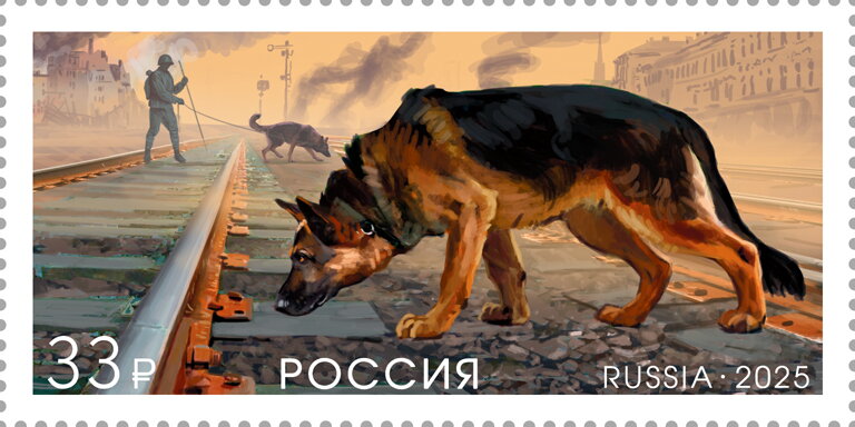 Dog (Canis familiaris)