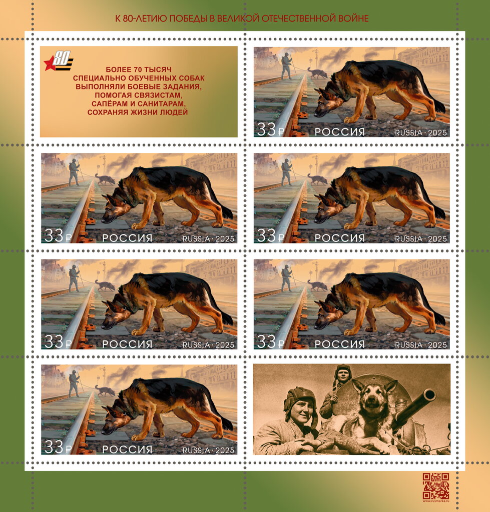 Dog (Canis familiaris)