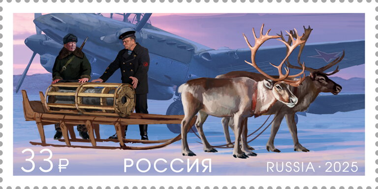 Reindeer (Rangifer tarandus)