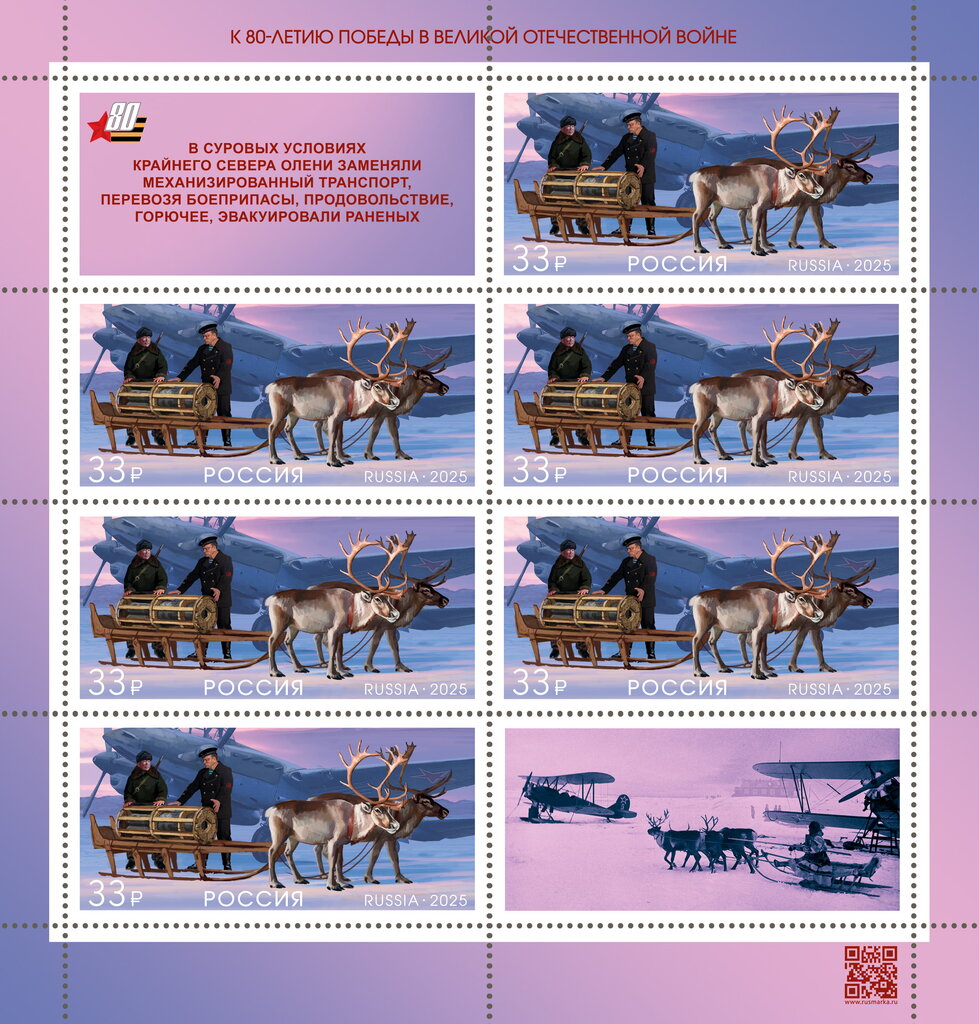 Reindeer (Rangifer tarandus)