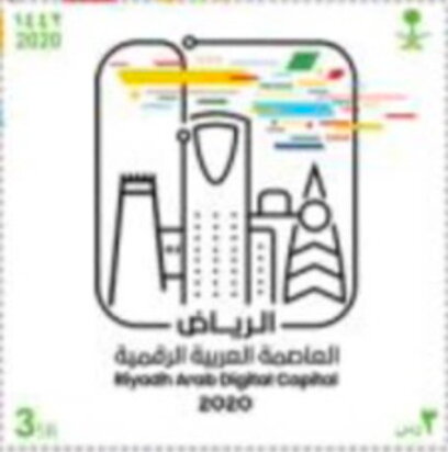 Riyadh Arab Digital Capital