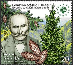 Stamp, Josif Pančić & Pančić's Spruce (Picea omorika), Serbia,  , Botanists, Environment Protection, Famous People, Trees