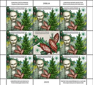 Full Pane, Josif Pančić & Pančić's Spruce (Picea omorika), Serbia,  , Botanists, Environment Protection, Famous People, Trees