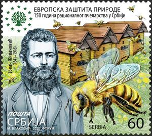 Stamp, Jovan Živanović & Scientific Beekeeping in Serbia, Serbia,  , Animals (Fauna), Bees, Botanists, Environment Protection, Famous People, Insects