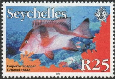 Emperor Snapper (Lutjanus sebae)