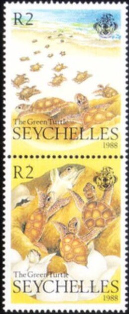 Se-tenant, Green turtles, Seychelles,  , Animals (Fauna), Reptiles, Turtles