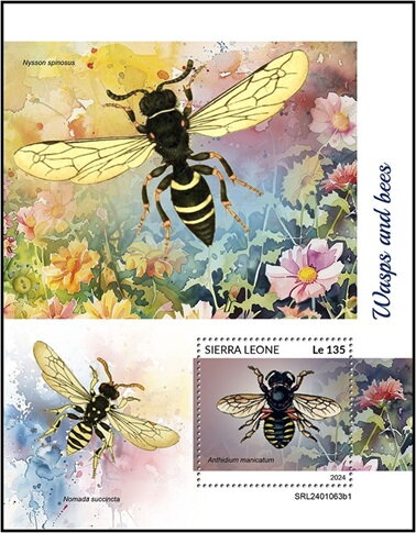 Anthidium manicatum