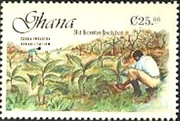 Cocoa Industry