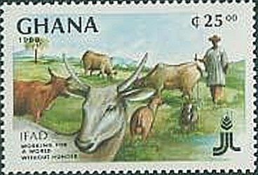 Cattle