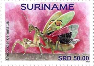 Stamp, Creobroter gemmatus, Suriname,  , Insects