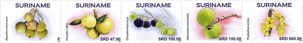 Fruits