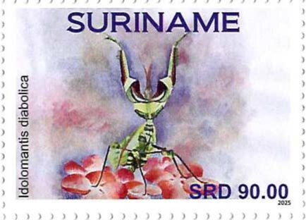 Idolomantis diabolica
