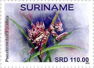 Stamp, Pseudocreobotra ocellata, Suriname,  , Insects
