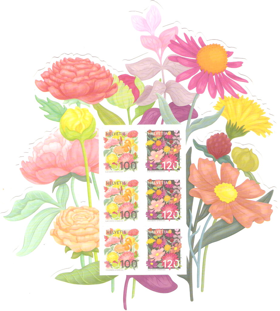 Spring and Summer