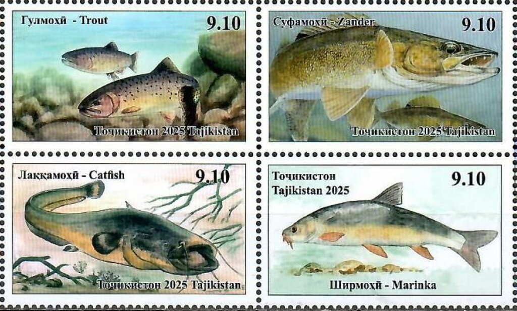 Fish
